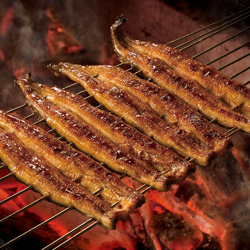 ͭ������ ŷ�����ʰ�ʳ��ơˡ���������������������������2�ӥ�������2�����å�