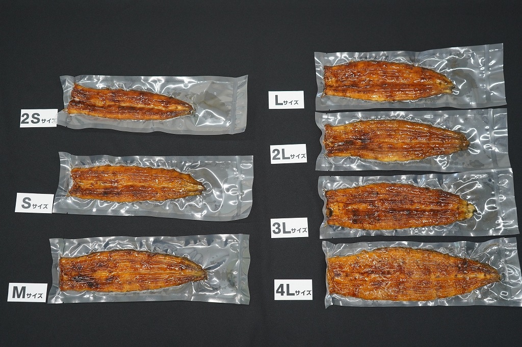 ͭ������ ŷ�����ʰ�ʳ��ơˡ���������������������������2�ӥ�������2�����å�