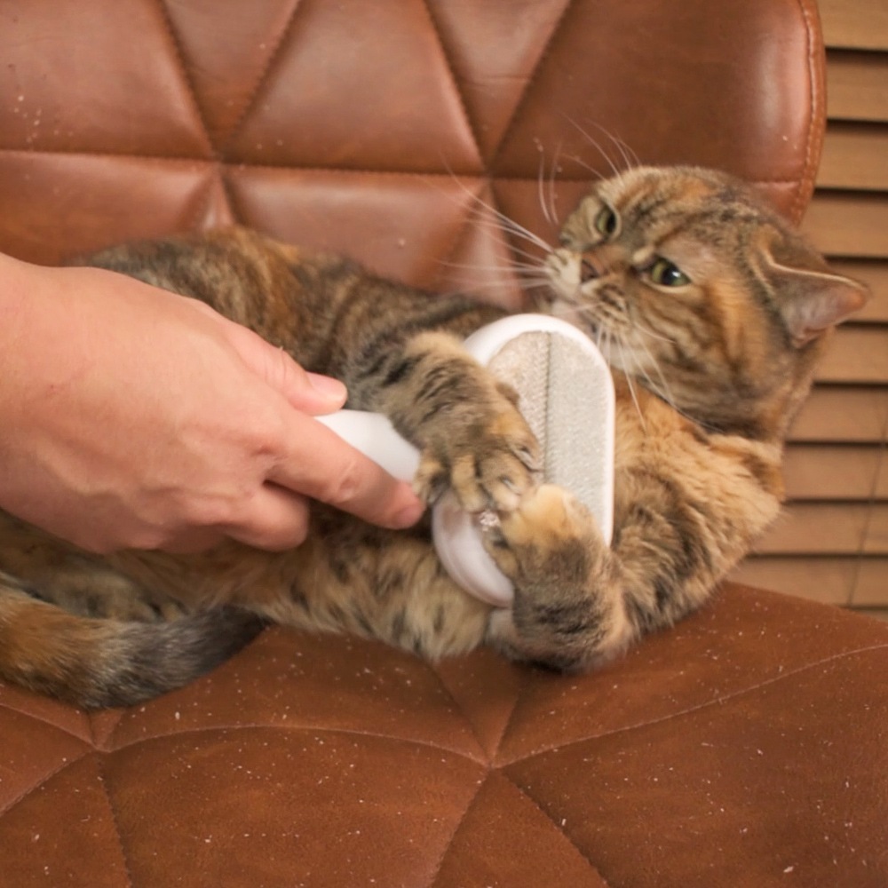 ڥڥåȥȥޡƽۥڥåξ̥֥饷֥ץå弰׸ǭ֥饷 ȴӼ+꡼ʡ ֥饷 Ӷ̼֥饷 ǽ ͥ