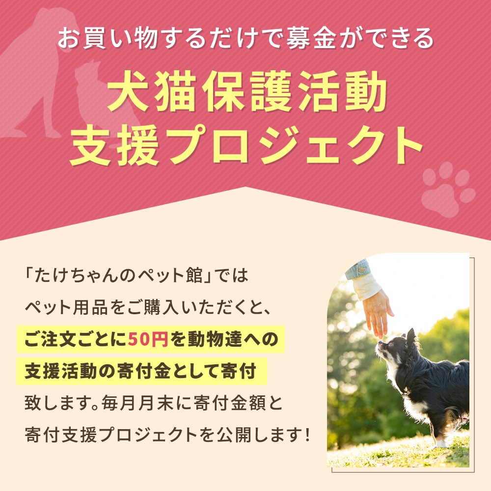 ڥڥåȥȥޡƽۥڥåξ̥֥饷֥ץå弰׸ǭ֥饷 ȴӼ+꡼ʡ ֥饷 Ӷ̼֥饷 ǽ ͥ