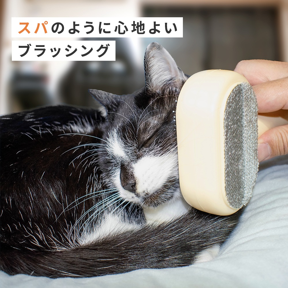 ڥڥåȥȥޡƽۥڥåξ̥֥饷֥ץå弰׸ǭ֥饷 ȴӼ+꡼ʡ ֥饷 Ӷ̼֥饷 ǽ ͥ