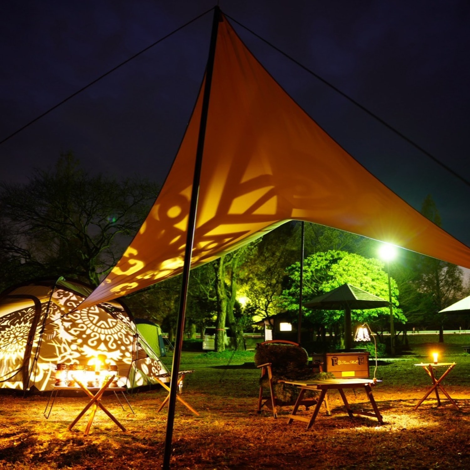 【Shadjection SET】サジェクションセット