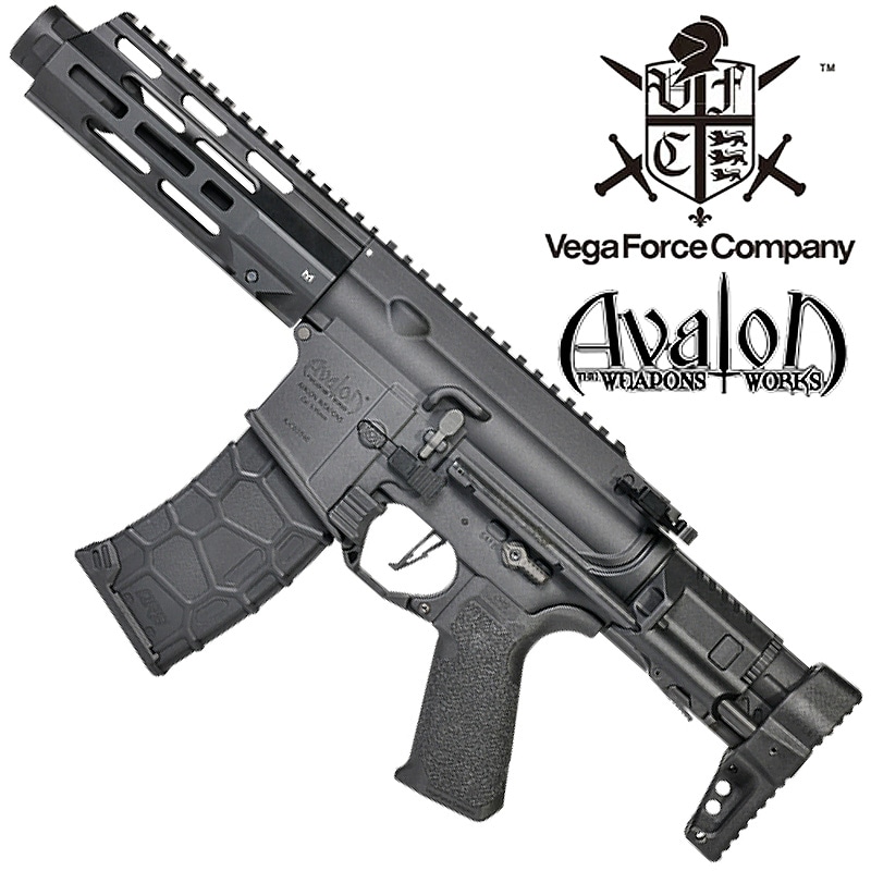 VFC AVALON 電動ガン アヴァロン #17157 全国無料，人気