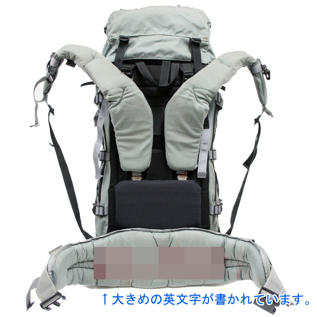 20080351 ��쥢!! BERGANS OF NORWAY NAVY SEAL Expedition �Хå��ѥå� *����ե����꡼��