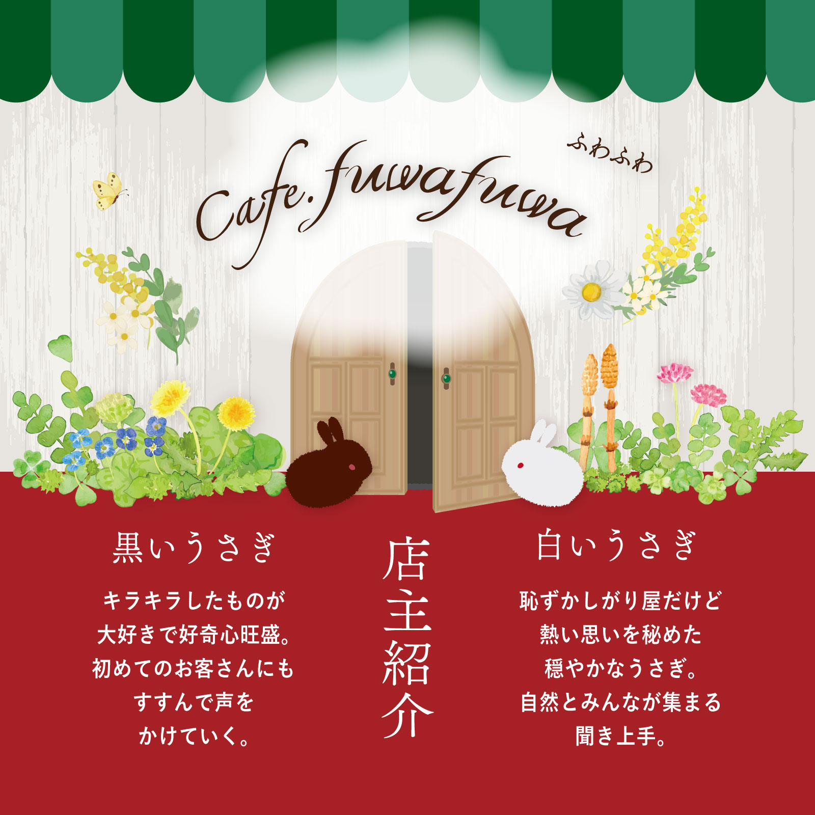 8278 C8 ���å��������ץ����� 50g��Cafe.�դ�դ�