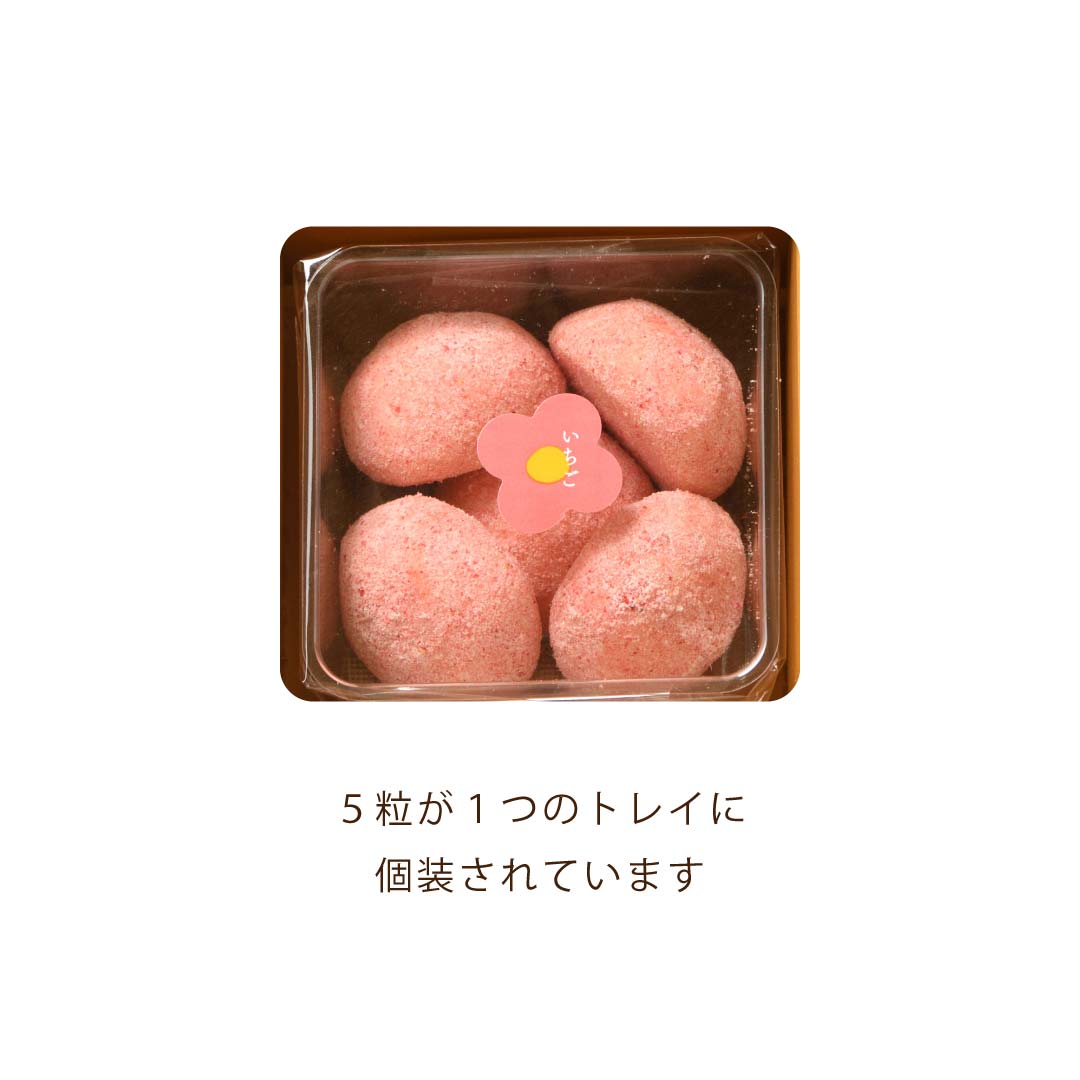 3543 ������� ���ޡ�5������� ������