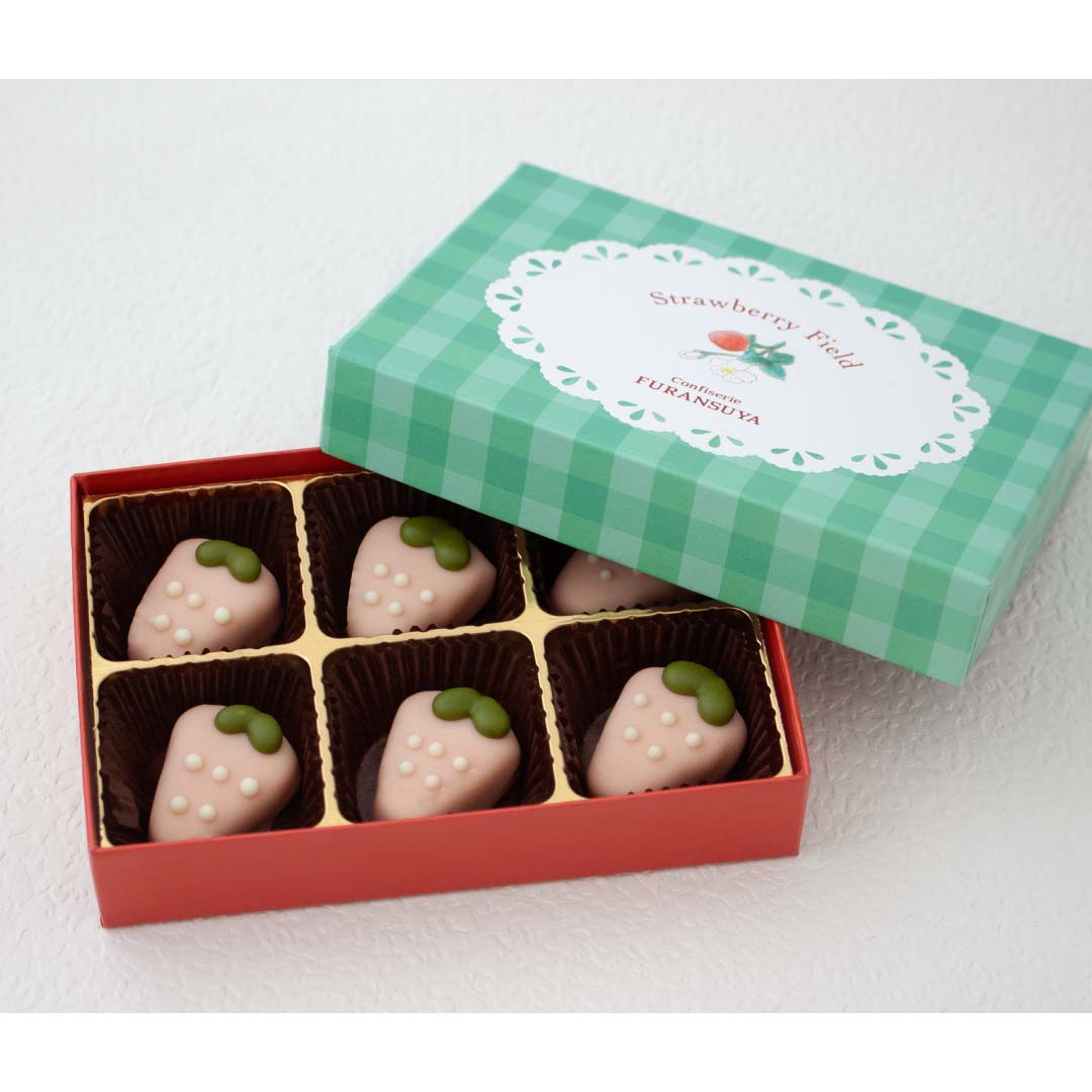 8513 �ڵ������ۤ��������祳�졼�ȡ�6������