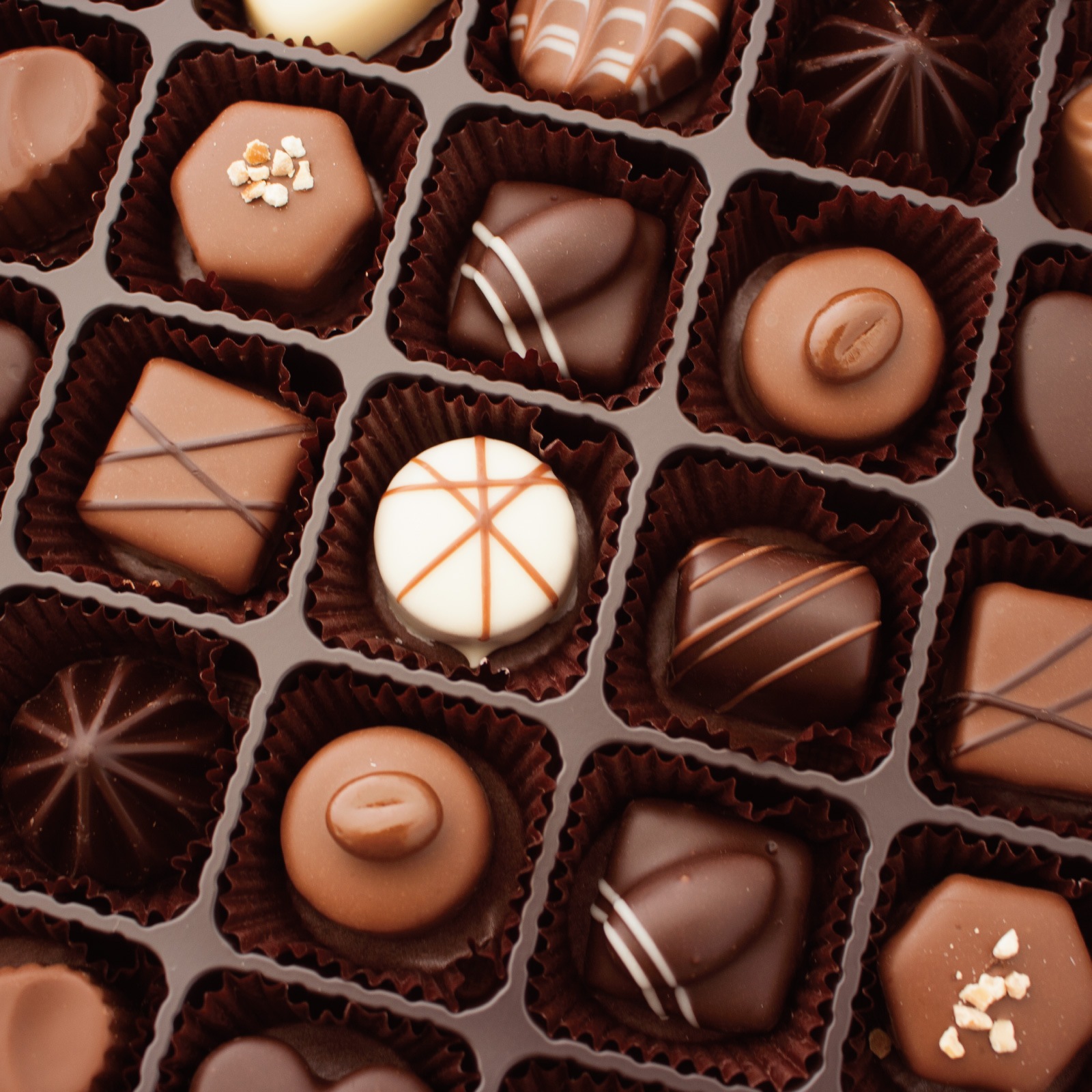 1002 ӥ塼ƥե륻ԥ 18