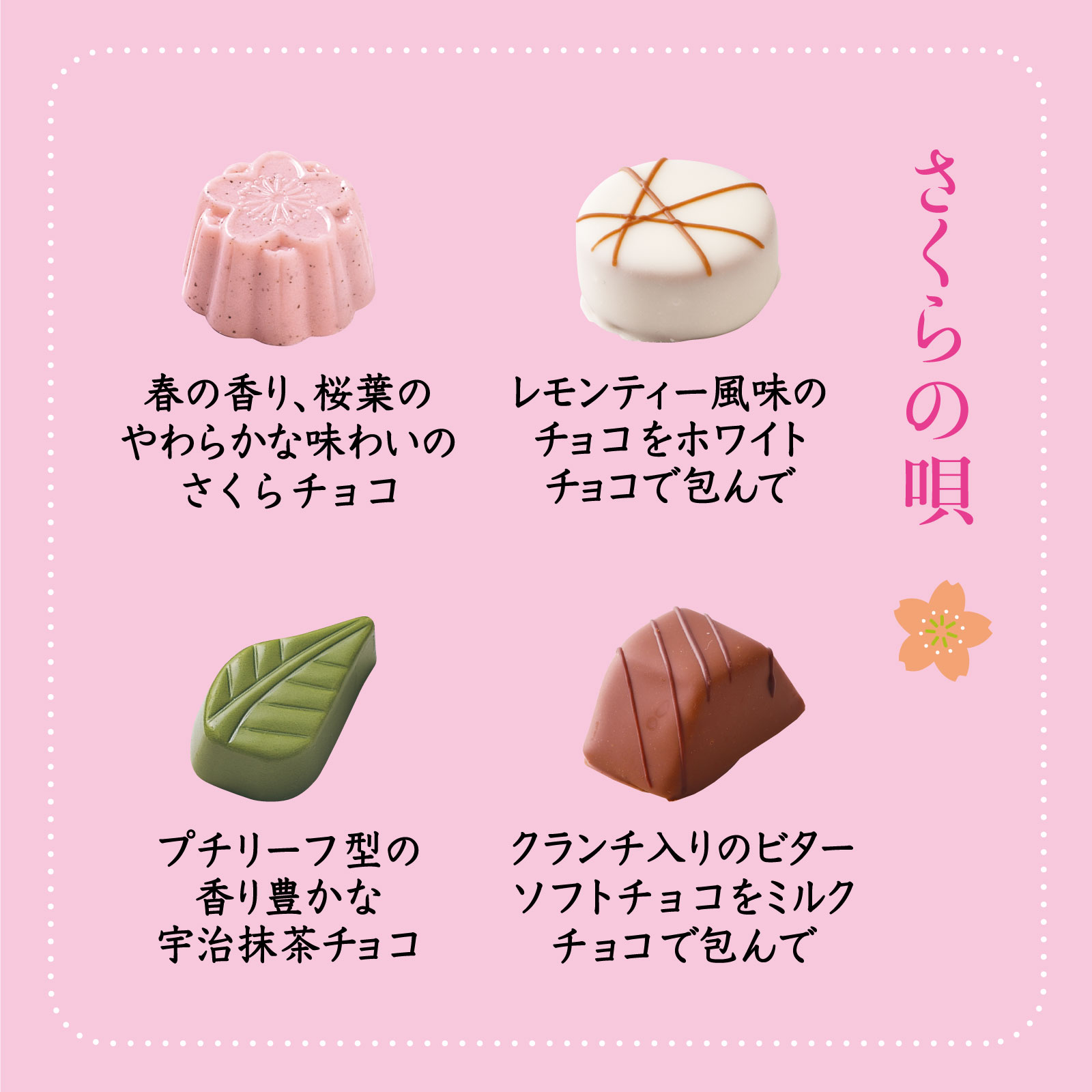 8305 ������α�S 4������õ��Ԥդ�󤹤�