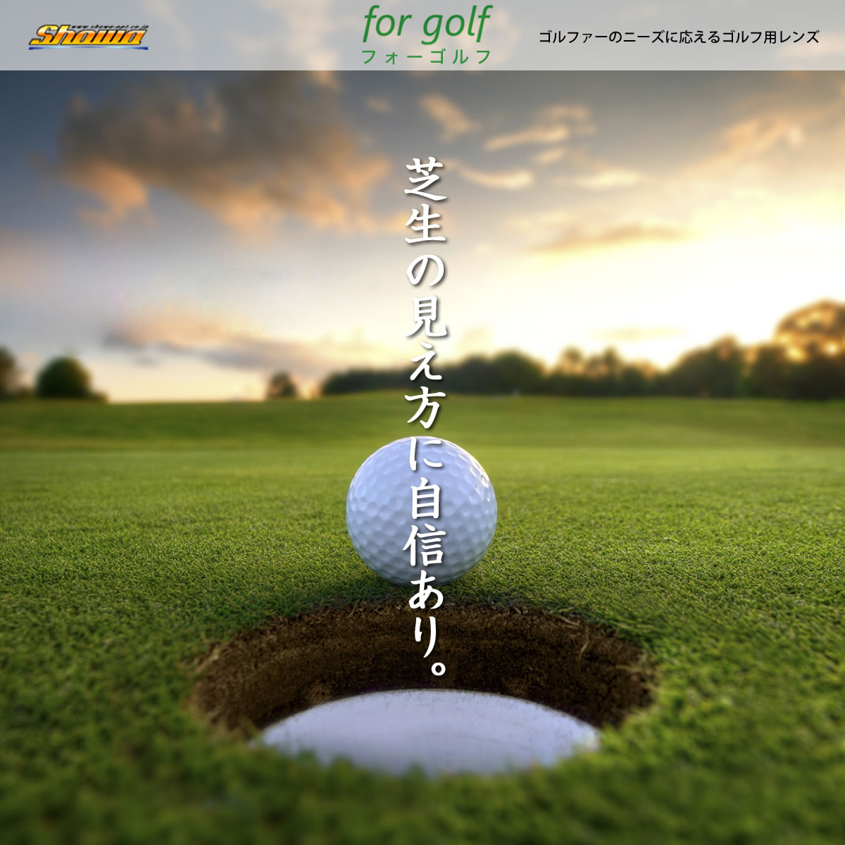 快適!ゴルフ体感! ゴルフ用レンズ 昭和光学 for golf フォーゴルフ 6カーブ仕様 度無し