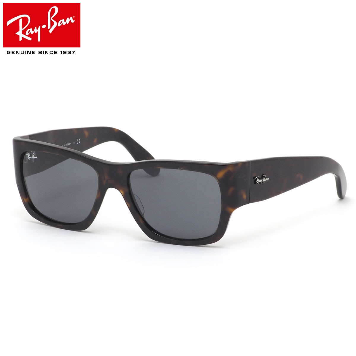 レイバン サングラス RB2187 902/R5 54 Ray-Ban WAYFARER NOMAD  Made in Italy イタリア製 メンズ レディース