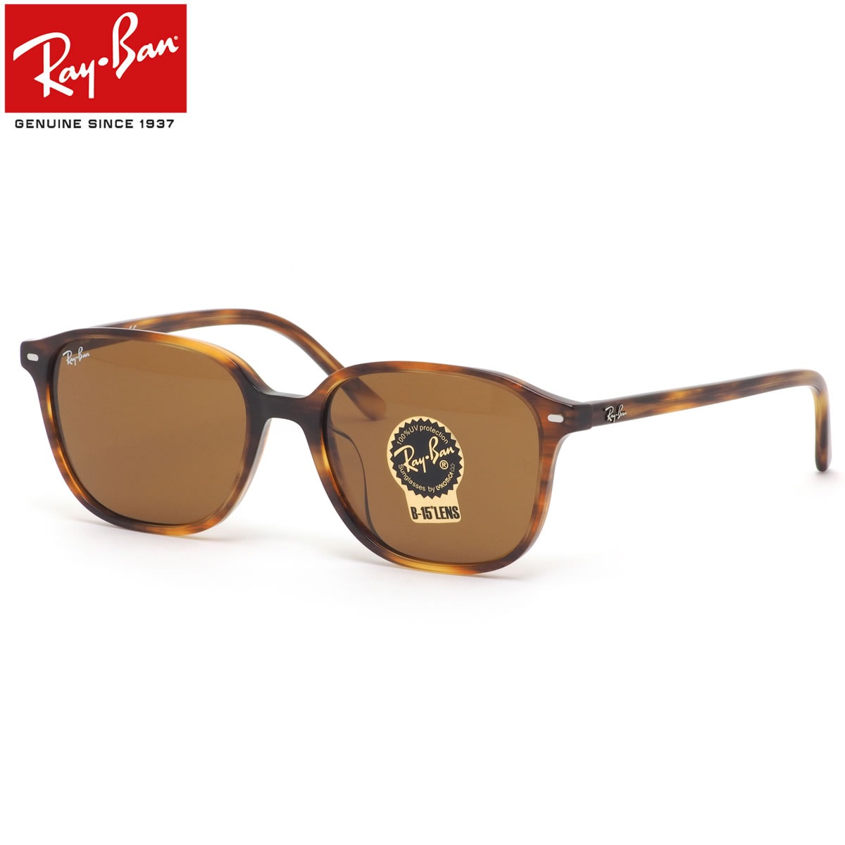 レイバン サングラス RB2193F 954/33 55 Ray-Ban レオナルド LEONARD ジャパンフィット べっ甲 デミ トータス B-15 Made in Italy イタリア製 メンズ レディース