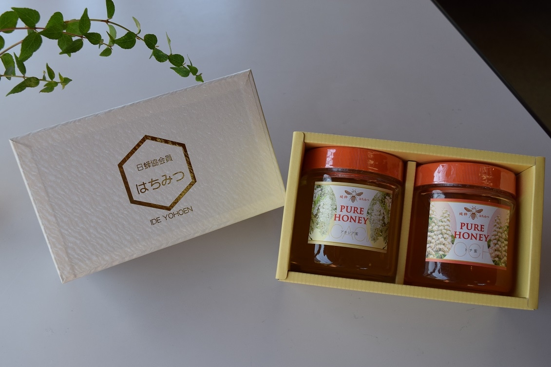 贈答用化粧箱 600g瓶 2本用 | ギフト・贈り物 | 井出養蜂園