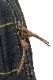 (���ե������) Ralph Lauren ��åڥ� & ���ƥ󥷥�ץ��� ���å����å� �Хå��ѥå� ��� ��˥��å���