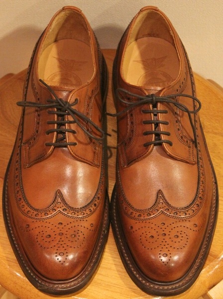 RRL / ���֥륢���륨�� WILBERFORCE �����󥰥��å� ���塼�� �����ꥹ��