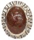 �� ���� ���꣱�� Limited Edition ��LHN Jewelry(���륨�������� ���奨�꡼) �ϥ�ɥᥤ�� ��� �����ʥ����ܡ��� x ����С� Dinosaur Bone Souvenir ring