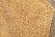 Waltzing Matilda ������ơ����쥶������ Spat �ȡ��ȥХå� No.1