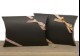 ��¾�����ƥ��Ʊ�������ξ�磷������ ���եȥ�åԥ� ���եȥܥå��� �ץ쥼����� Gift Wrapping Case