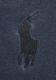 ���ե������ / Ralph Lauren ����ǥ��� ���� �ӥå��ݥˡ� �ɽ� Ⱦµ �ݥ������ S