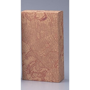 ��50Ȣ���Ͽ����磻��ܥå�����2���ѡ�