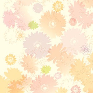��1������/50������������֥��쥤����