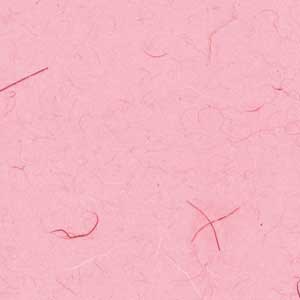 ��1������/100������������֥ե��� �ԥ󥯡�