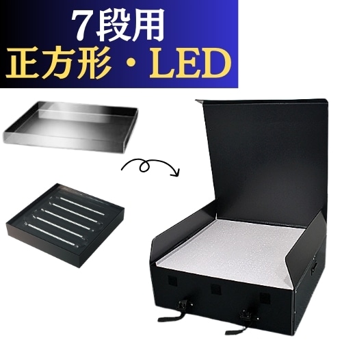 ѥ󥿥 7 LED Ȣ 1