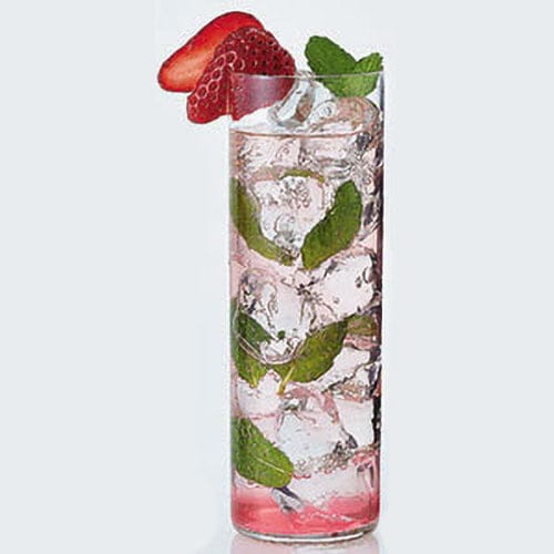 ��6��/360ml�֥ۡ��륯�饤��ץ���ӥ��饹 360 