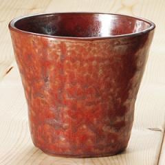 ��6��/320ml�۾��񥫥å� �� Ŵ�֡�