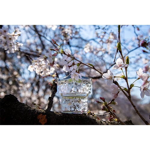 ��1������/180ml�֣ۡ���󡿣�����1�羣�ֺ��ס�6������