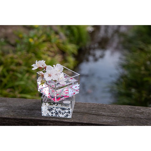 ��1������/180ml�֣ۡ���󡿣�����1�羣�ֺ��ס�6������