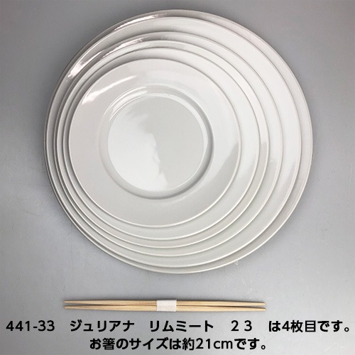 ��6��/ľ��23.4cm�֥ۡ���ꥢ�ʡץ��ߡ��ȣ���