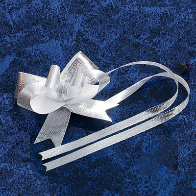 ��1������/25�����ۥ���å������ƥ�Х��ե饤�ܥ�13�֥���С���