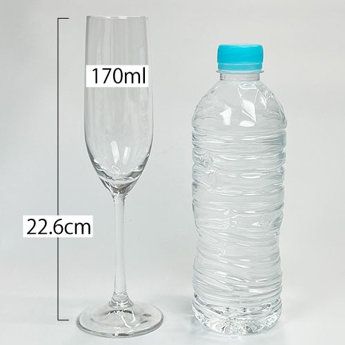 ��4��/170ml�ۡ�IPT-�ץ쥸����ץե롼�ȥ����ѥ󥰥饹