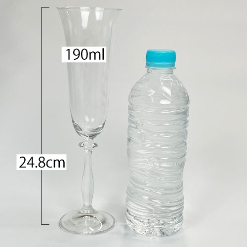 ��6��/190ml�֥ۡ��󥸥���� �����ѥ󥰥饹190