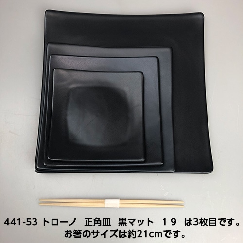 ��6��/19.3cm�����֥ۡȥ����Ρ����ѻ� ���ޥåȣ���