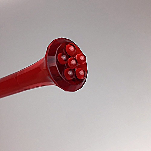 ��10��/19.8cm�ۥե롼�ĥޥå��㡼�֥��󥰡�