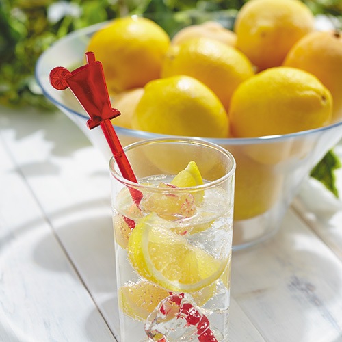 ��10��/19.8cm�ۥե롼�ĥޥå��㡼�֥��󥰡�