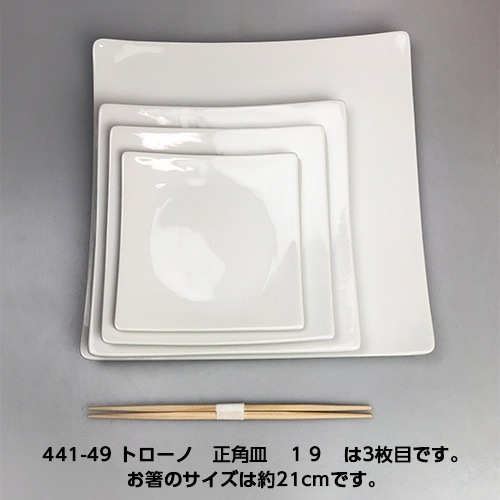 ��6��/19.3cm�����֥ۡȥ����Ρ����ѻ�����