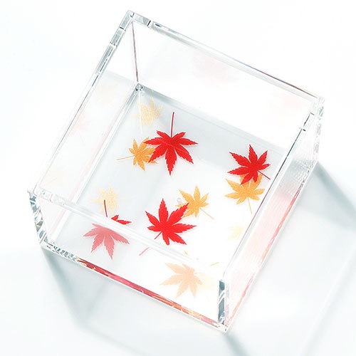 1/180ml֣ۡ󡿣1羣ֹա