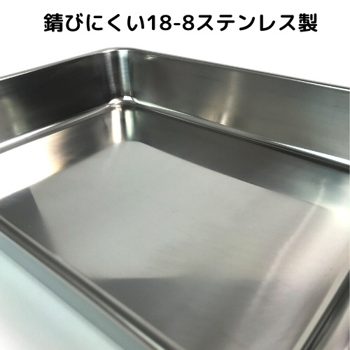 ��1��/21���۳ѥХåȣ������(���̵ )