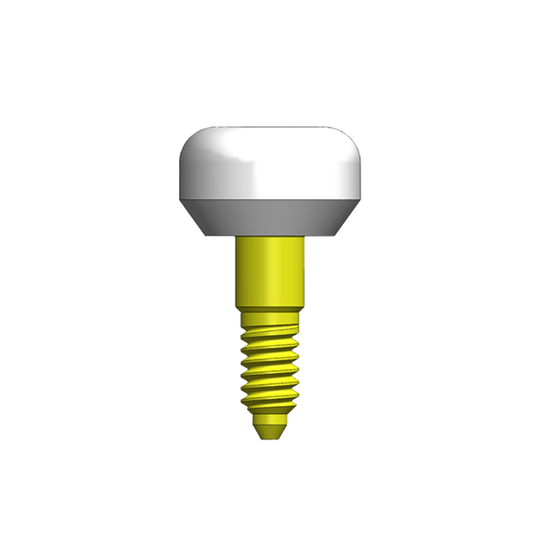 ヒーリングアバットメントIN