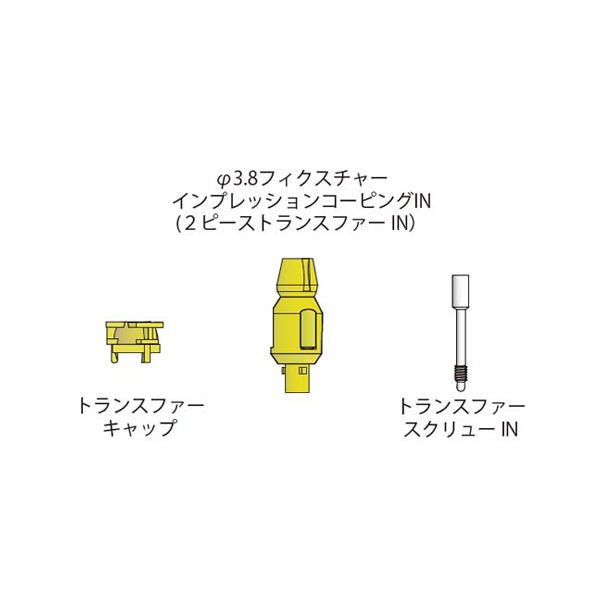 フィクスチャーインプレッションコーピングIN （2ピーストランスファー）