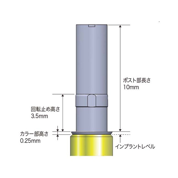 チタンベース IN