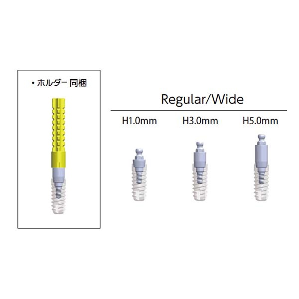 Aadva ボールアバットメント