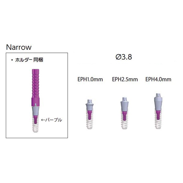 SRアバットメント
