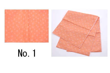 �椫���ӡ��ؿ�ʼ������ʪ������ꡡNo3516817-250421