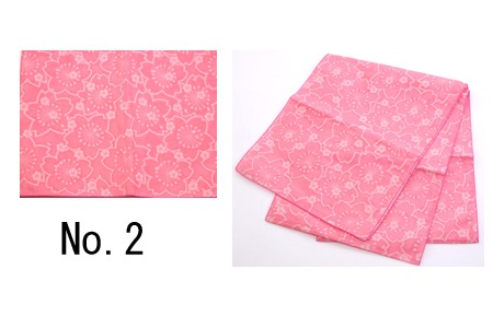 �椫���ӡ��ؿ�ʼ������ʪ������ꡡNo3516817-250421