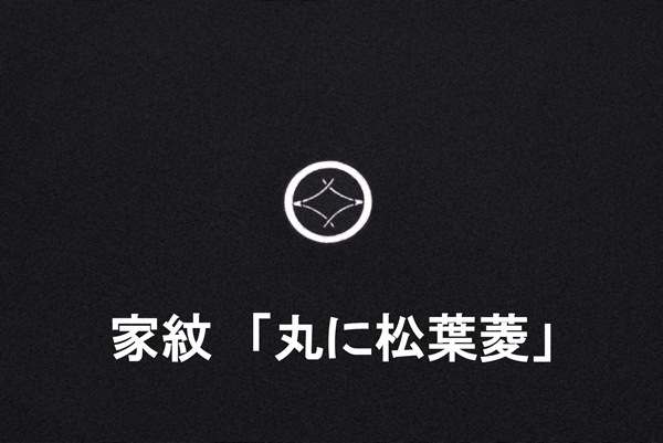 �ܲò�ͧ����αµ�����ľ�����̾�ࡡ̤���ѿ����ʡ�No 3019080