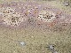 �����ܡ������İ��ݡ��ԥ��֡����������ʤ���Ω�ƾ夬�ꡡNo3378040
